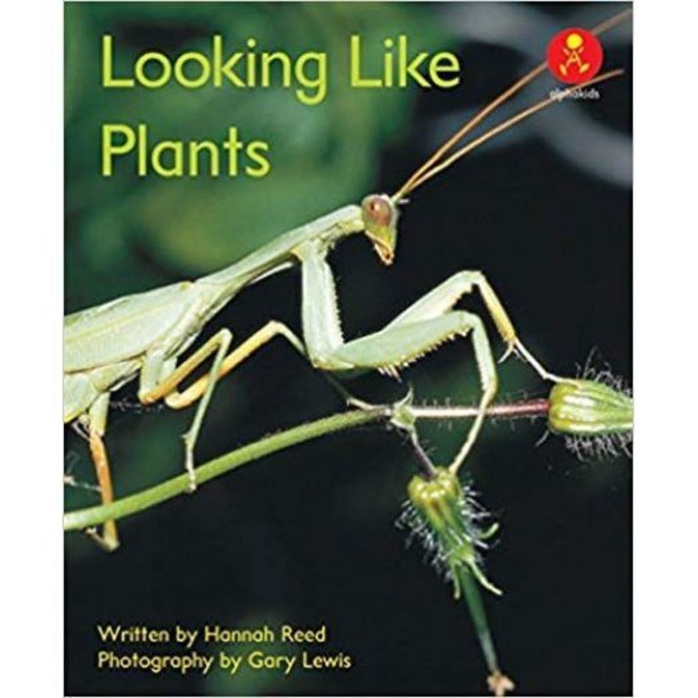 Alpha kids Plus: Looking Like Plants (Paperback)
